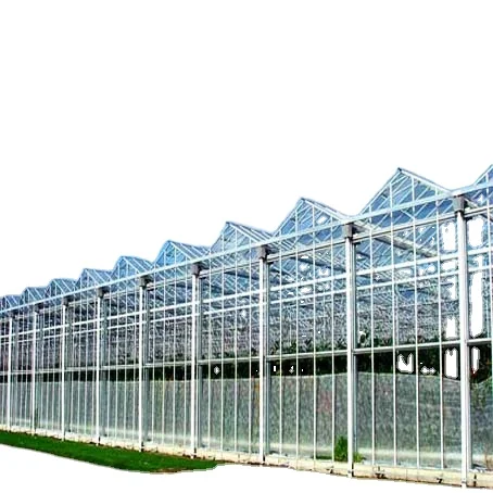 FM hot-dip galvanized steel structure glass agricultural green house net equipment used greenhouse cooling system for sale