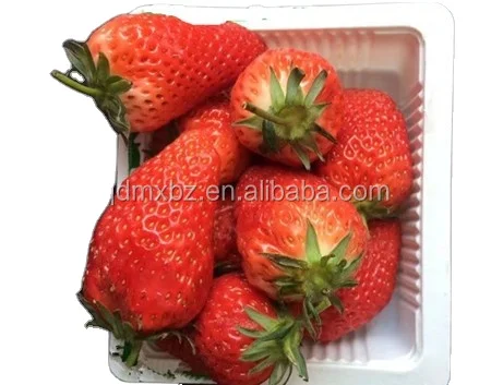 Disposable clear Plastic Strawberry Packaging Punnet Container