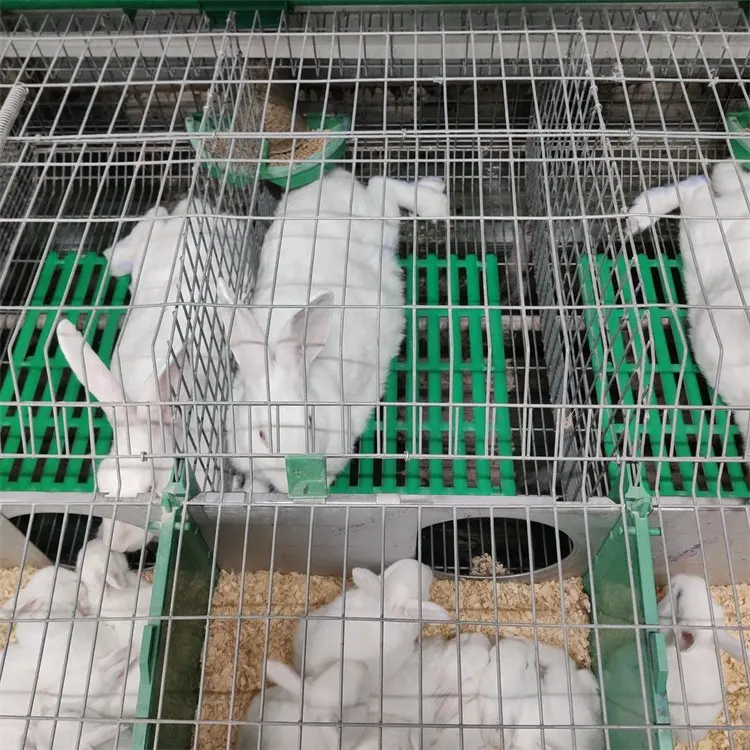 Factory Supply Rabbit Cage for Sale/Poultry Farming Equipment