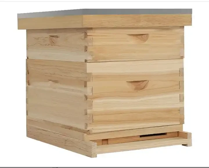 Explorable Factory Inspection Allowed Two Layer Wooden China Langstroth Fir Bee Hive