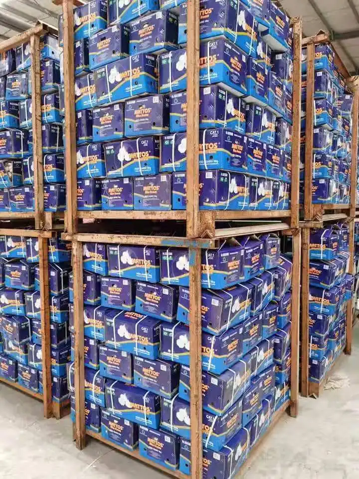 China Sinofarm Brand Garlic supplier manufacturer wholesaler with Cheap white garlic price for sale