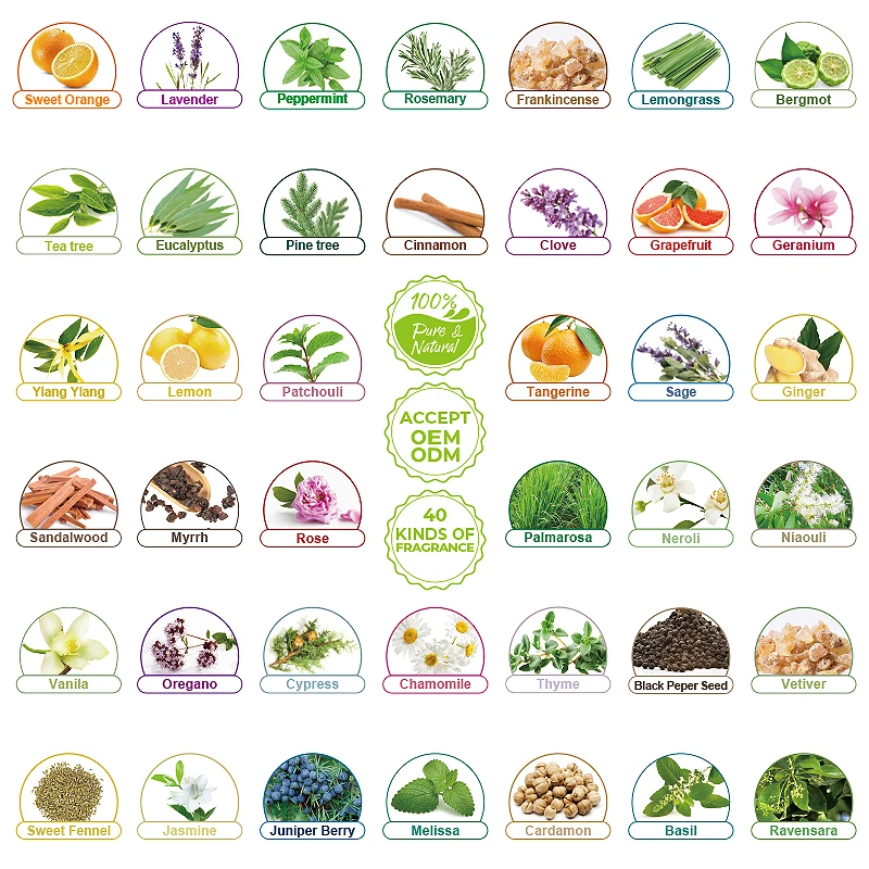 Wholesale beauty cosmetics Diffuser Essential oil Natural Tea tree Rose Organic Rosemary Essential oil