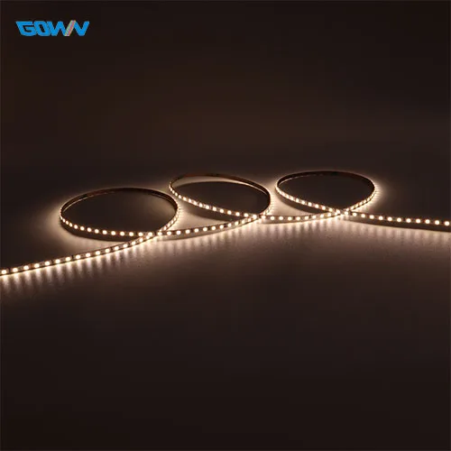 Shenzhen Factory 2024 New Products Ultra Narrow Width 3mm IP20 SMD2025 Flexible Led Strip