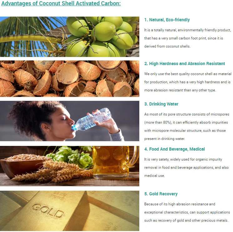 Jacobi Coconut Shell Based Activated Carbon Goldsorb  Gold Sorb 5500 6000 For Gold Mining Industry Usage In Sudan Market