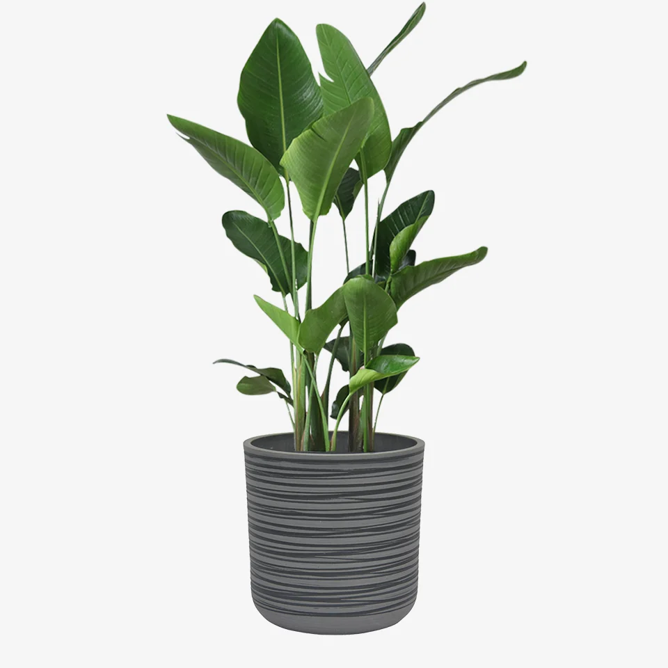 Greenship Wholesale Olive Green Nordic Round Flower Planter Pot Orchid Succulent Plastic Pot for Succulent Plants