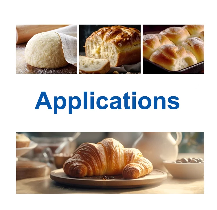 Fungal Diastase Fungal Alpha Amylase Food Grade Powder Non GMO for Bread Baking, Food Processing,etc.