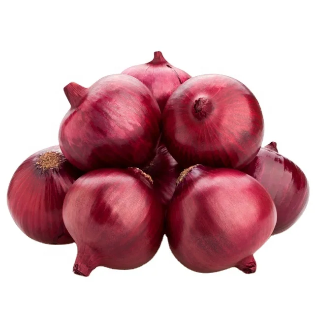 chinese yellow onions ferma onion vegetable the quality onion seeds for sale