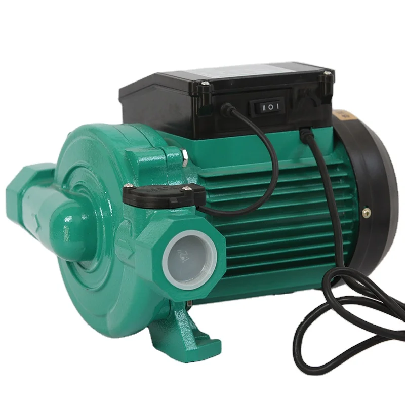 RUD-410EA Automatic Control Pump Water Pumping Machine Booster Pumps For Water Pressure