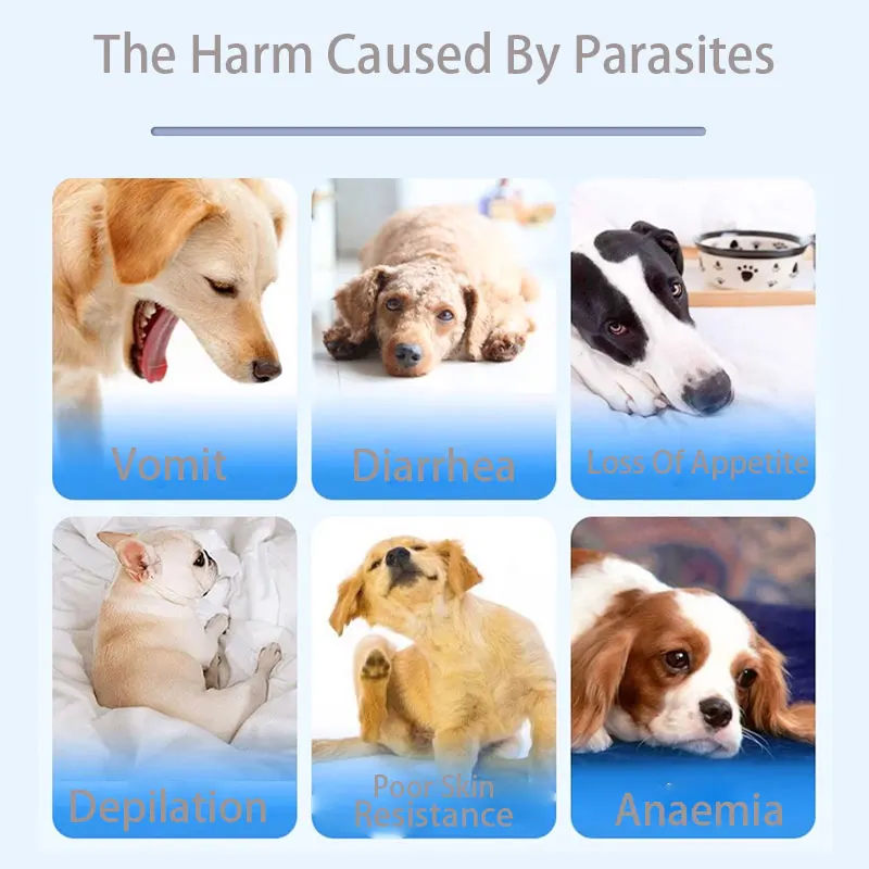 New Arrival  Plus Flea & Tick Treatment For Cats And Dogs External Insect Repellent Drops