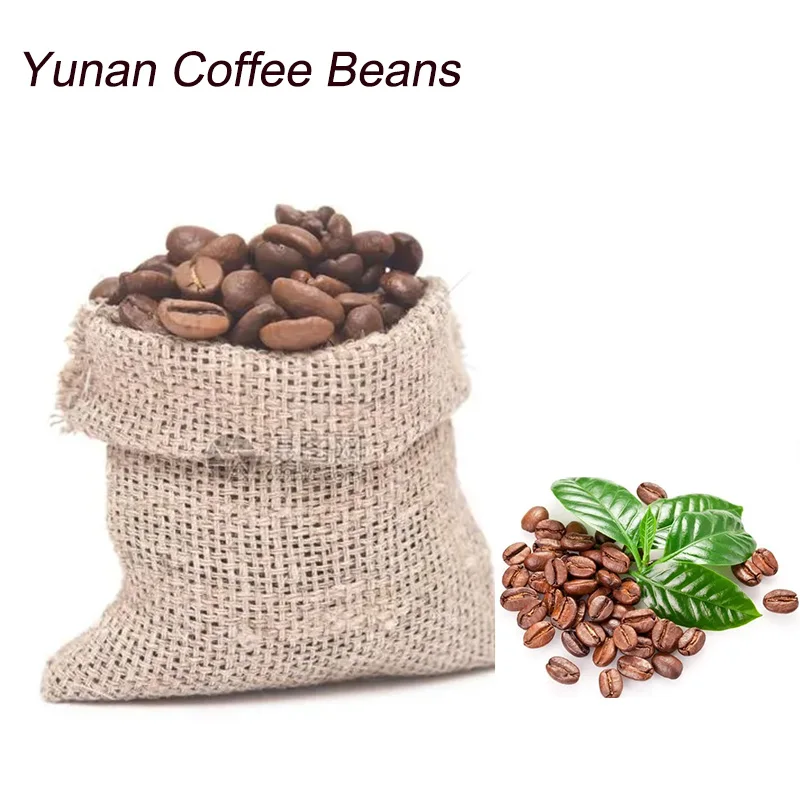 Поставка кофейной основы Юньнань зеленые кофейные зерна Арабика/Робуста Арабика