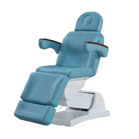 Hair Salon Equipment Furniture Beauty Salon Bed Massage Bed Electric Manufacturers