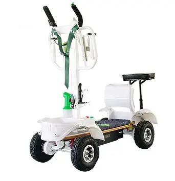 4 wheels 2000W Electric Golf Cart