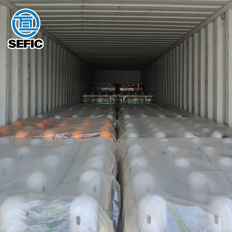 SEFIC DOT3AA 40CF 7.8L 178mm 2265psi Seamless Empty Industrial Argon Gas Cylinder