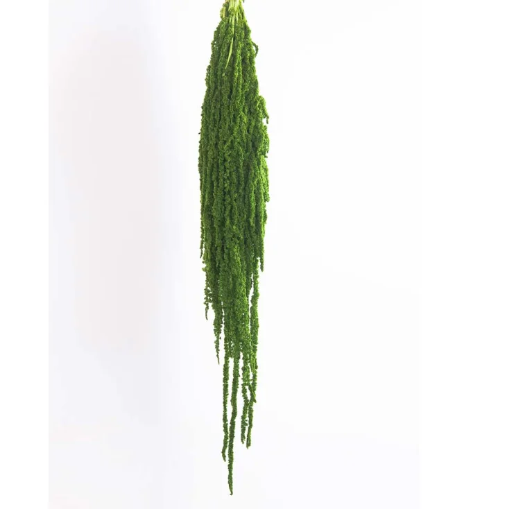 2022 Yunnan wholesale real natural touch flower preserved foliages amaranthus preserved flower