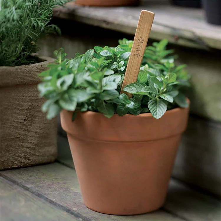 Garden Plant Identification Markers Bamboo Plant Labels