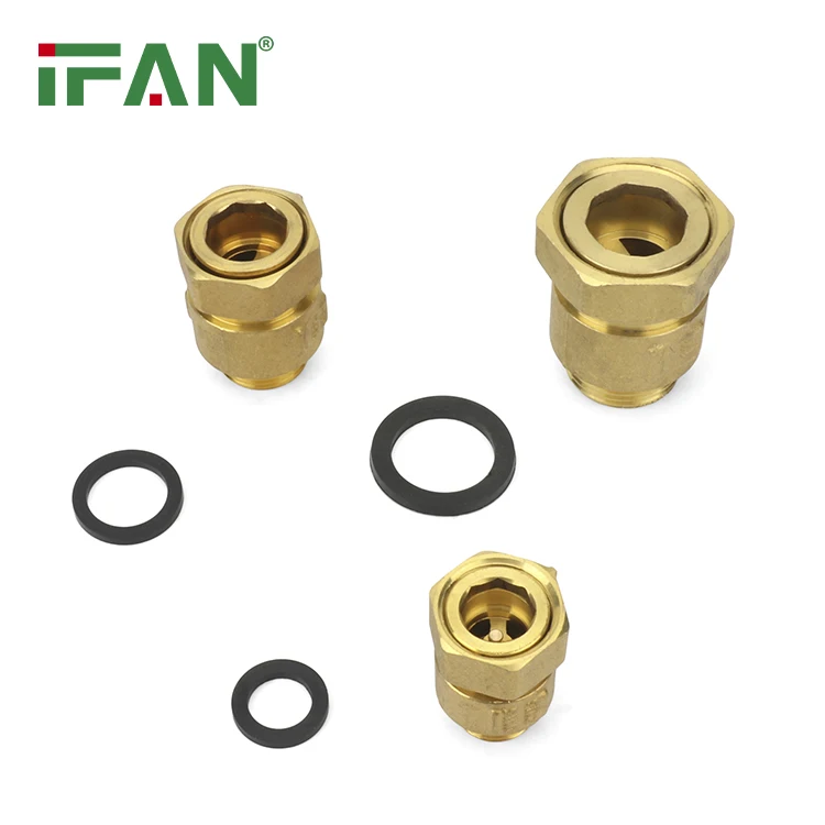 IFAN Free Sample Spring Check Valve 1/2 Inch Check Valve Vertical Non Return Check Valve