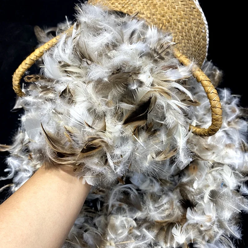 Down Manufacturers Direct Sales of Ultra-low MOQ Washed 90% Filling Material 2-4CM Gray Duck Feathers