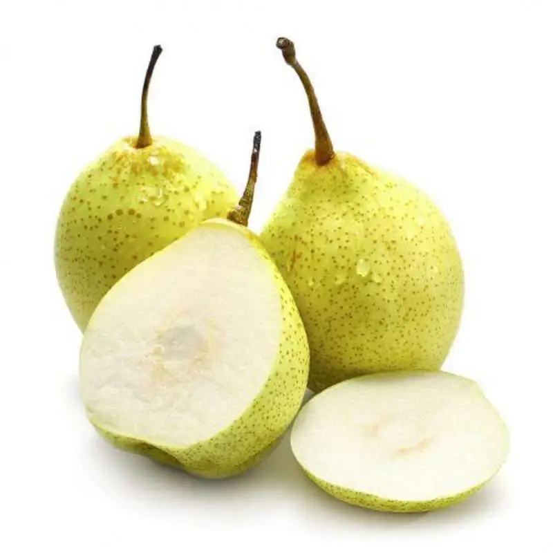 fresh ya pear asian juicy pear good quality from hebei province2020 crop