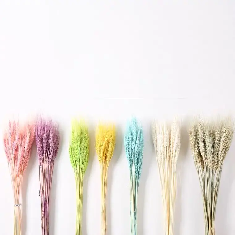 Whole Sale Fall Flower Arrangement Cheap Colorful Barley Straw Dried Wheat Flower