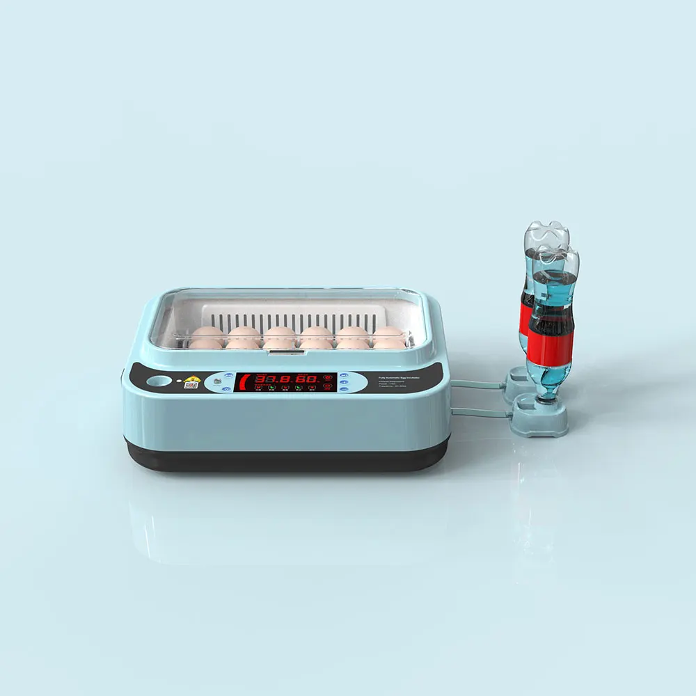 Good Quality Full Automatic Mini 12 Eggs Incubator for Chicken , Quail , Duck Eggs