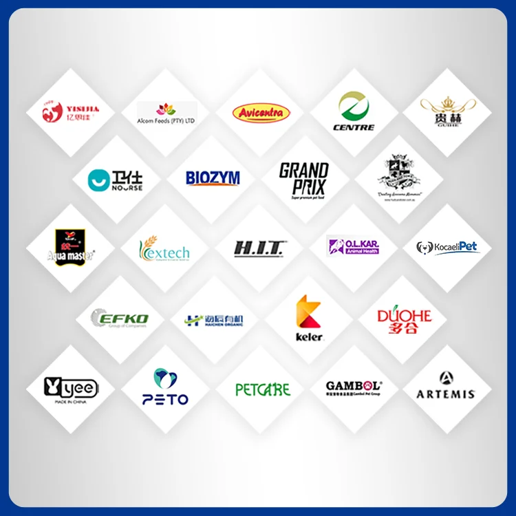 Large Capacity Extruder Machine Pet Dog Chews Snack Food Making Machinery