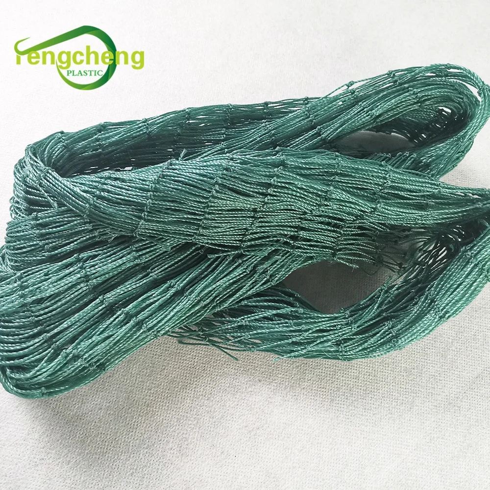Agriculture HDPE with UV Material Anti Bird Net High Quality Pond Fish Net