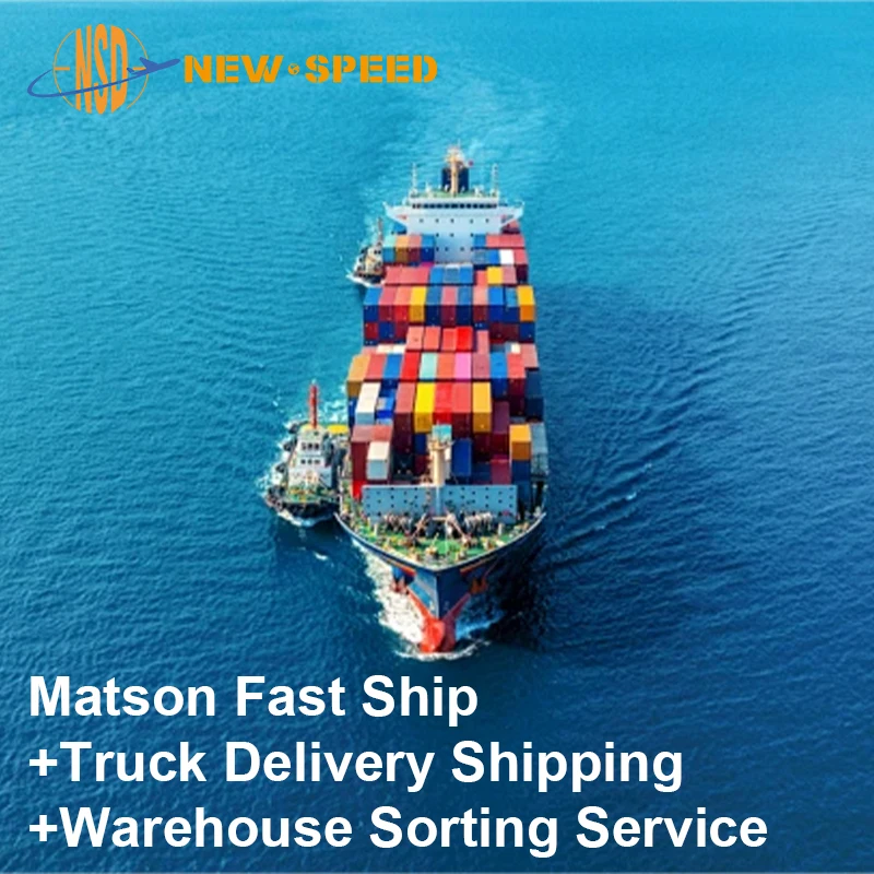 NEW SPEED Professional Shenzhen Logistics Company Inspection Service FCL Sea Shipping DDP To The Middle East