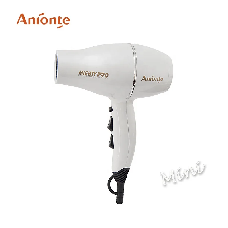 Mute function Mini professional AC motor Hair Dryer