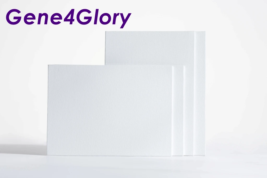 
Custom pre printed stretched wood canvas & painting set 