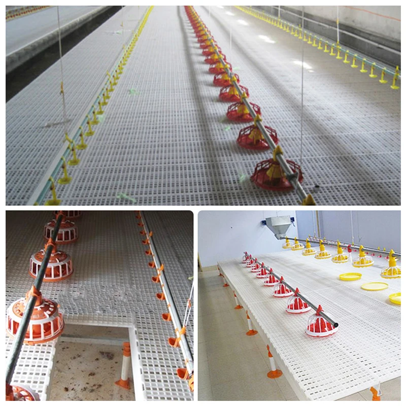 Poultry farming equipment 1200*500*40mm chicken farm slat floor plastic chicken floor broiler duck plastic slats mats