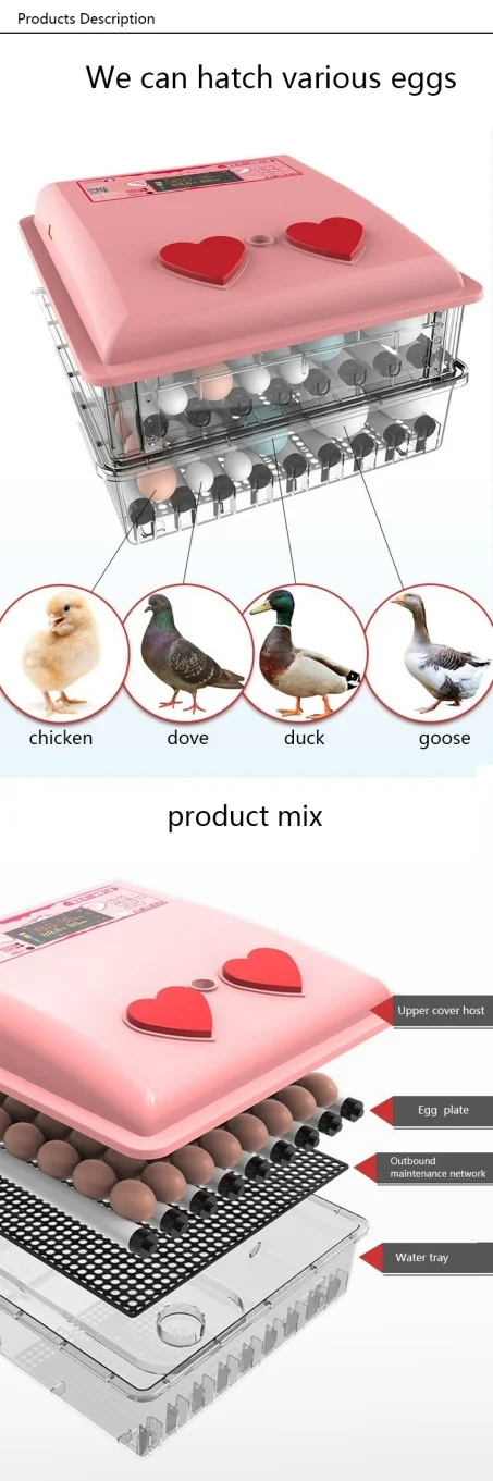 Chicken Egg Incubator Hatching Machine Full Automatic 12 Volt Egg Incubator Incubator Plastic Egg Trays