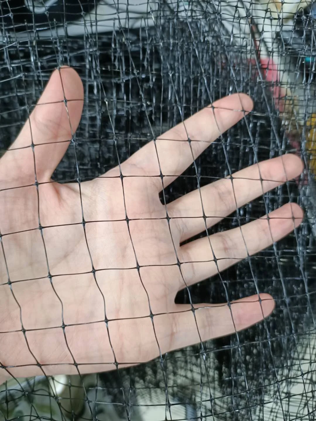 Plastic Bop Netting/ Garden Anti Bird Net/Extruded Bird Netting