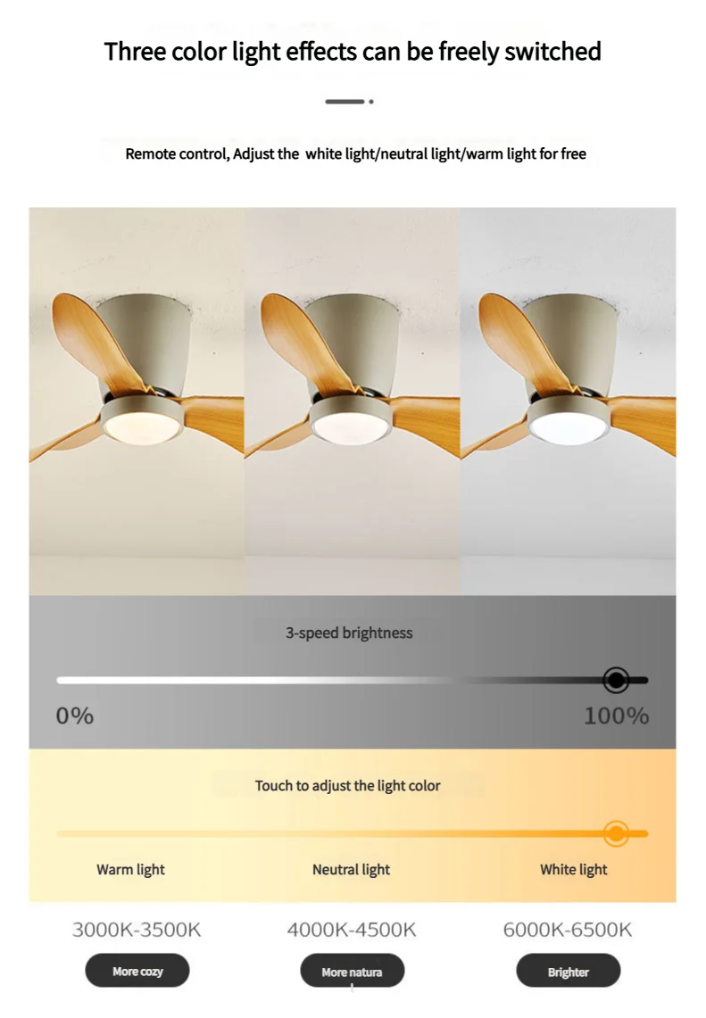 New Arrival Modern Simple 24 Inch Mute Home Decorative Remote Control Bldc Led Ceiling Fan With Light