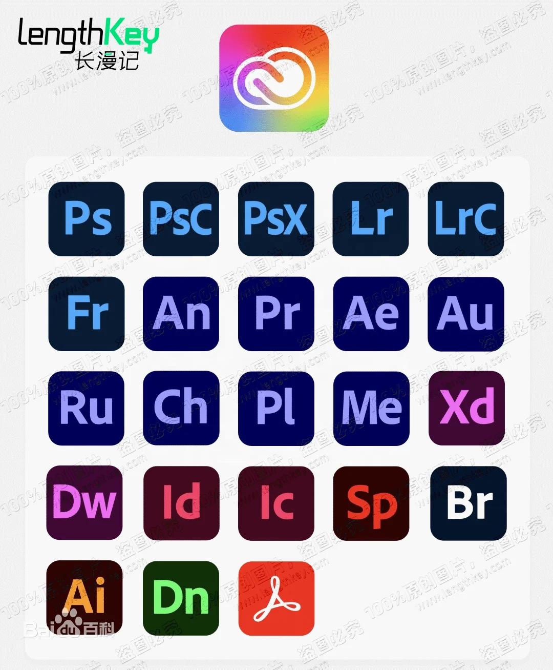 Adob e single app 1 Year Subscription Photoshop Premiere AfterEffects Illustrator Lightroom Classic Audition InDesign Acrobat