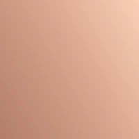 Executive Brass Name Plate With Logo