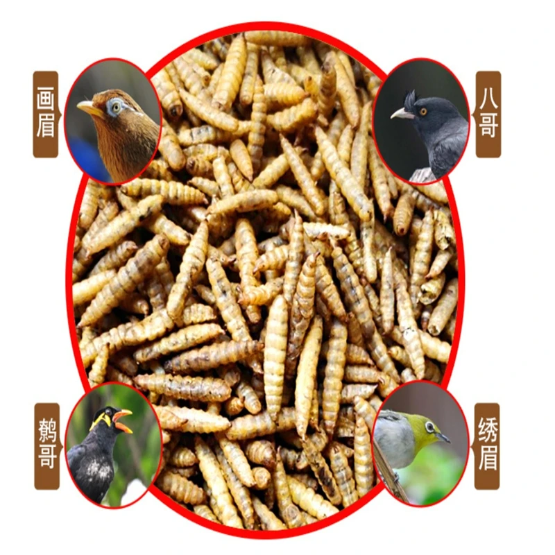 Микроволновая печь Black Soldier Fly Larva сушилка для личинок