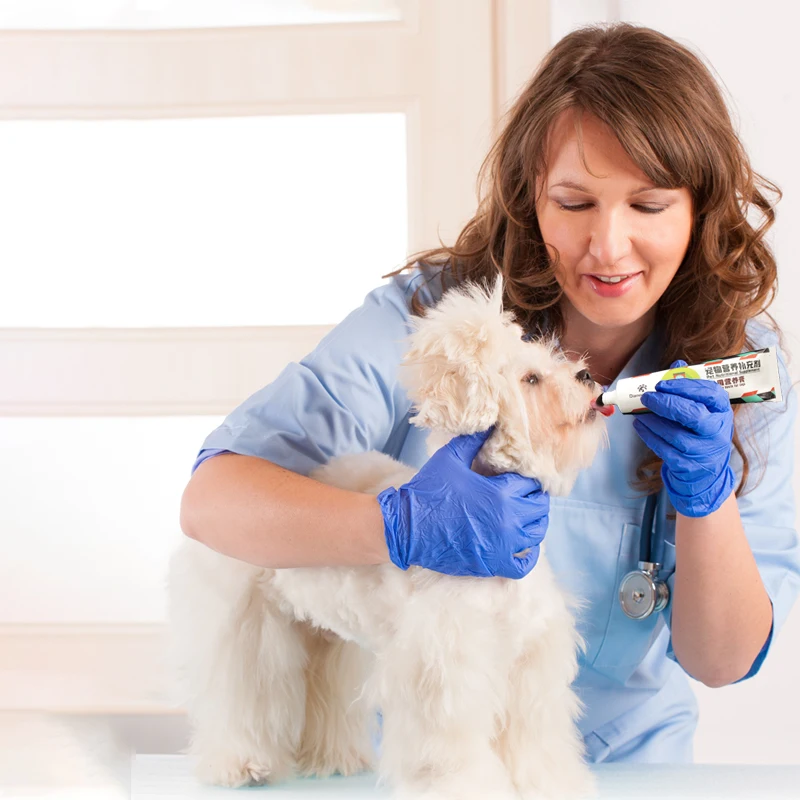 Dog nutrition paste vitamin supplement for wholesale price for ODM
