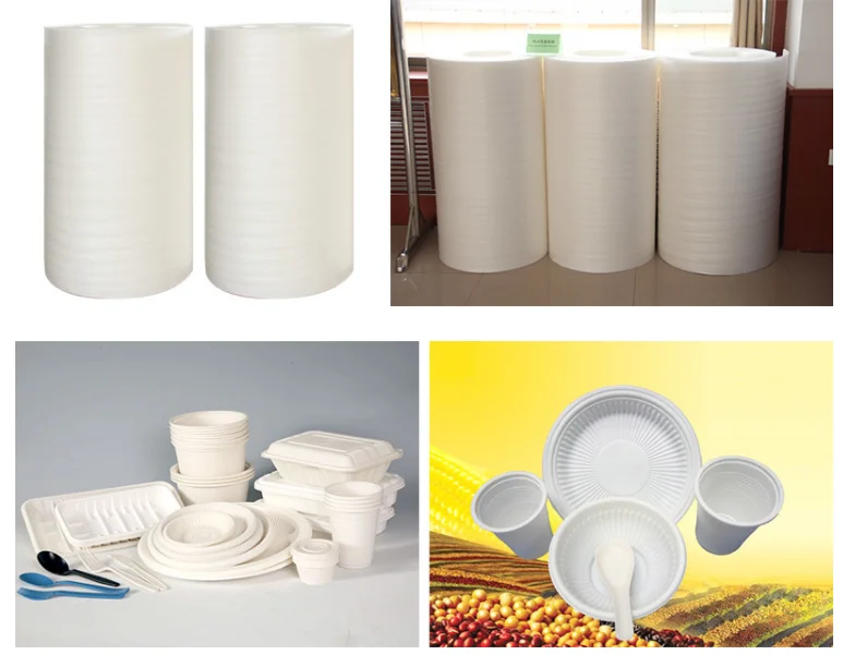 PLA foamed sheet production line CO2 Supercritical foaming board machinery for disposable food trays