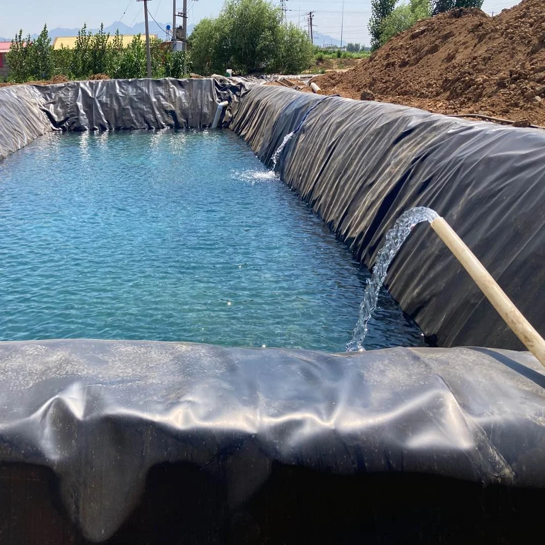 cheap price black  HDPE  geomembrane liner for fish pond