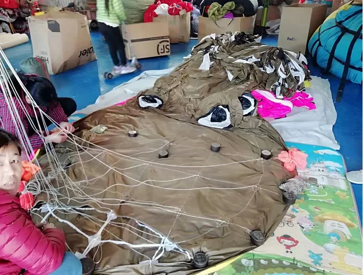 Professional kitesurfing  octopus kite