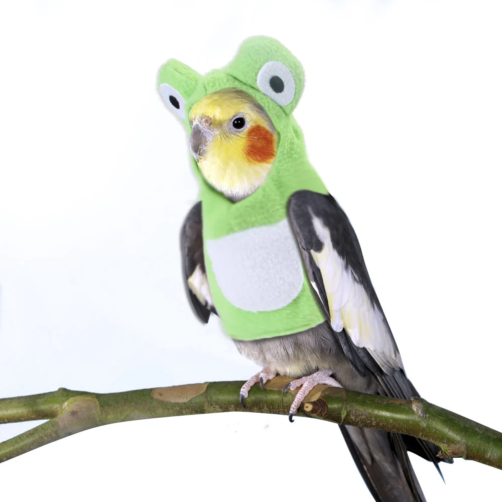 Wholesale pet bird clothes, manufacturers handmade custom parrots selling cute birds turned into frogs