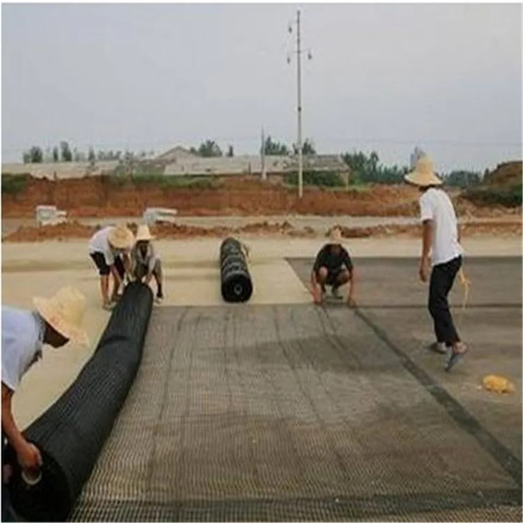 PBX-100 geogrid Basal Embankments And Soil Slope Walls Reinforcement High Strength Polyester Geogrid
