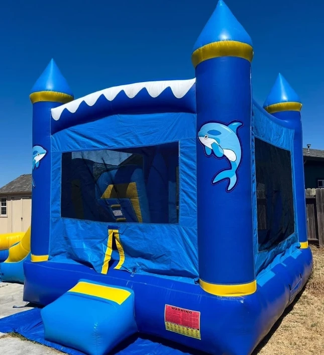 Commercial grade 5 in 1 Carnival for kids outdoor indoor inflatable sport game