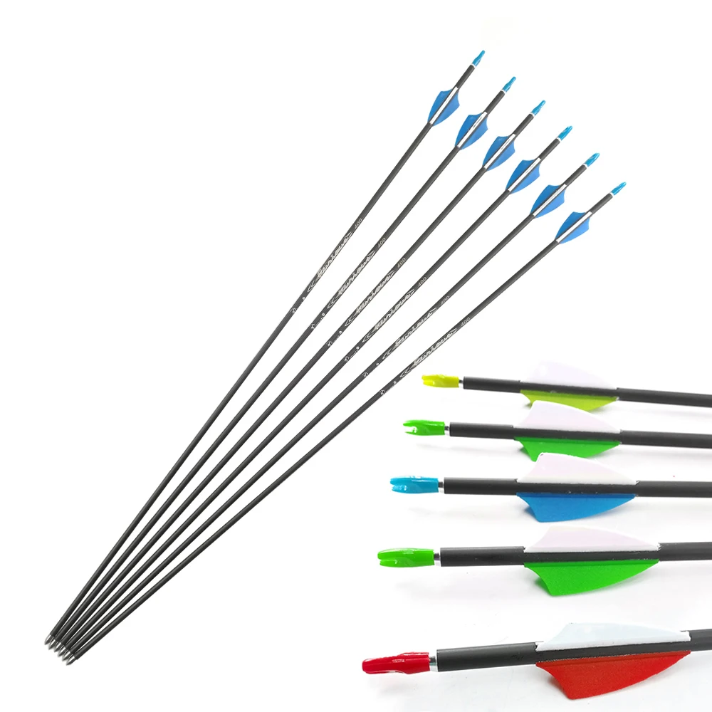 Pinals ID4.2mm Carbon Arrow Shaft Recurve Compound Bow Arrows Hunting Plastic Vanes Steel Points Pin Nock