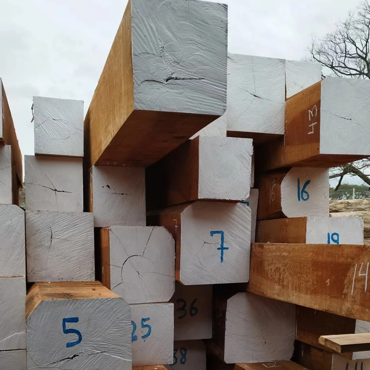Wood for Sales, Jatoba square logs from peru, High quality with low price