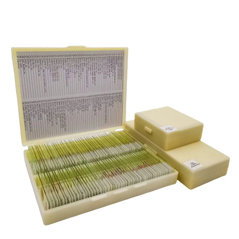 100 Items Animal Insect and Histology Specimen Prepared Slides Laboratory Apparatus Zoology Microscope Slides