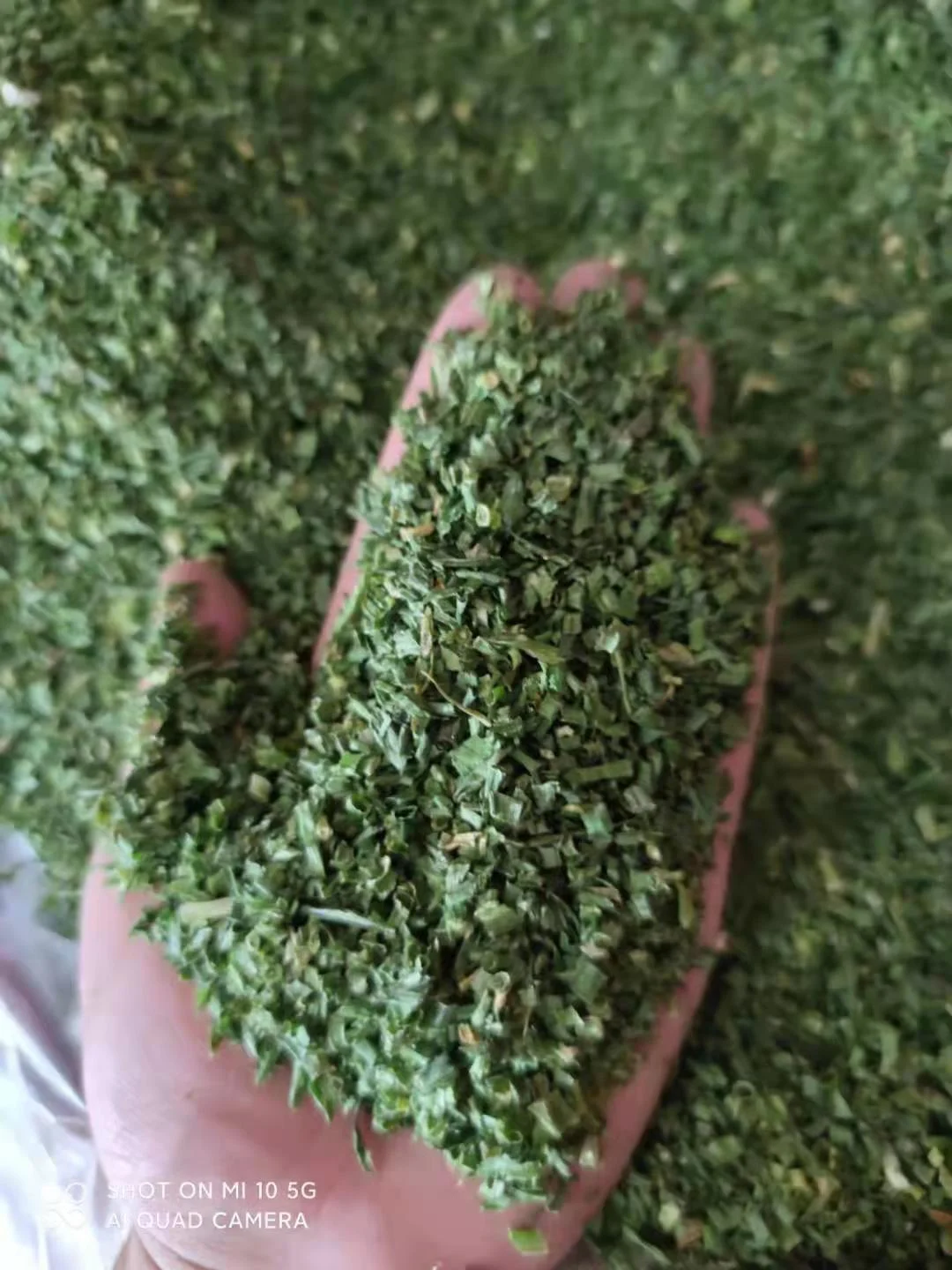 Chinese Dried green onion Dehydrated Green Onions Dried Chives Leek For Seasoning