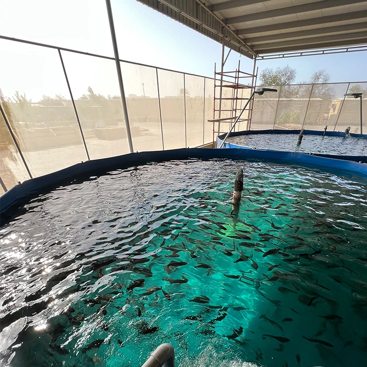 aquaculture equipment indoor outdoor industrial fish farm system fish farming ras recirculating aquaculture system