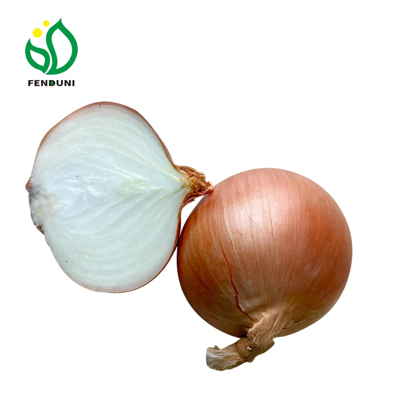 2024 лук свежий покупатели желтый