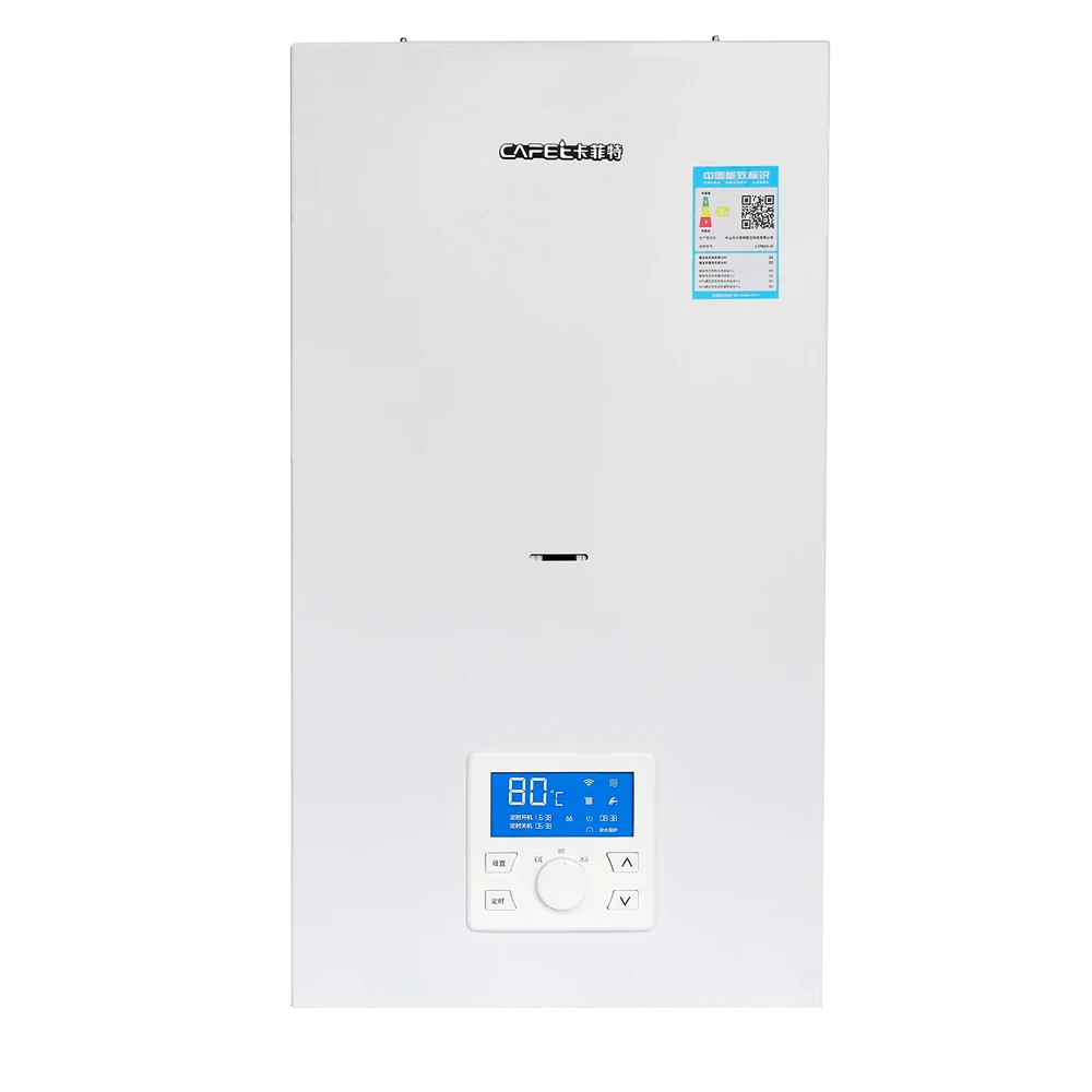 Korea 24kw Digital Display Small Wall-hung Gas Boiler For Home Appliance